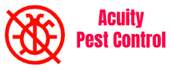 Acuity Pest Control | Best Pest Control Services in Dhaka 